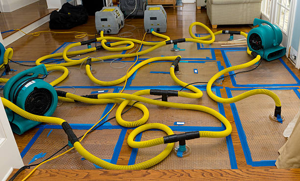 Professional Crawl Space Water Removal technician working in Brussels, WI